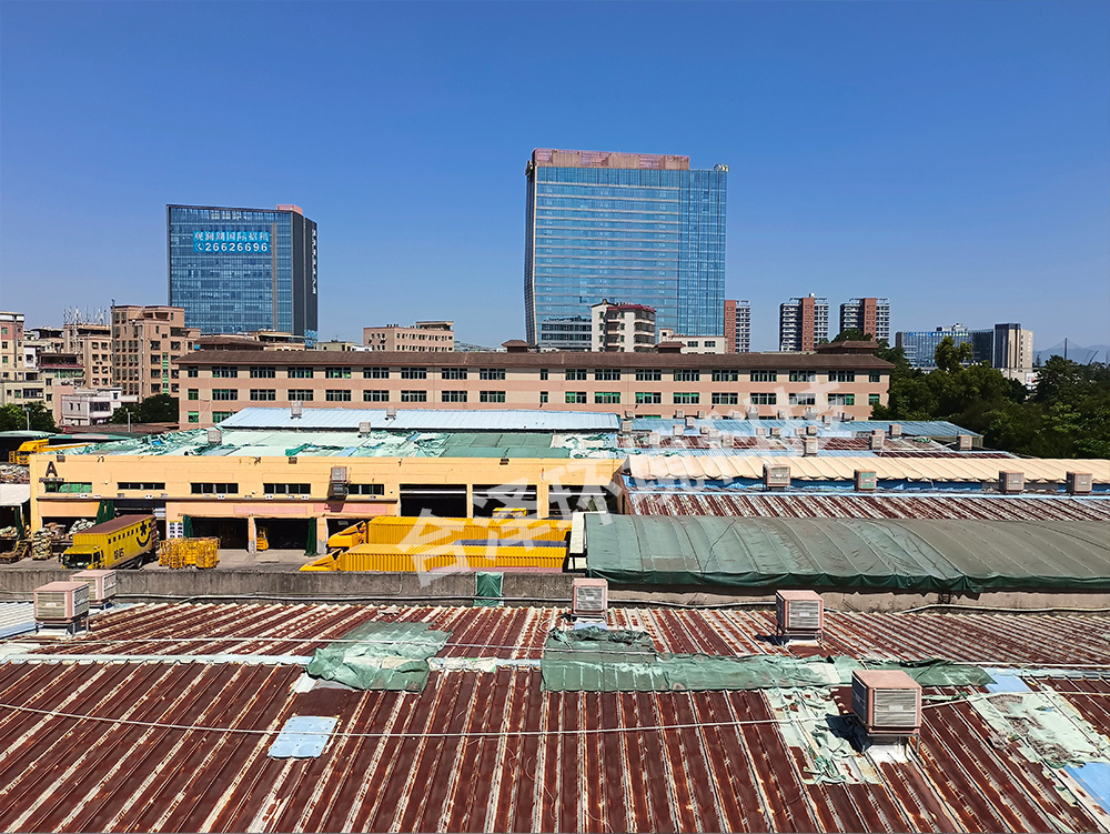 IMG_20221012_110708 IMG_20221012_110708